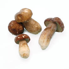 IQF frozen boletus edulis / porcini